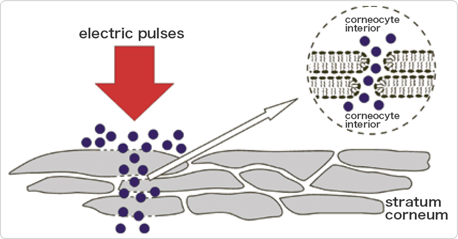 electic pulses