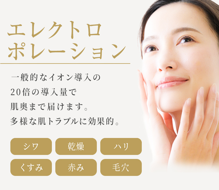 エレクトロポレーション