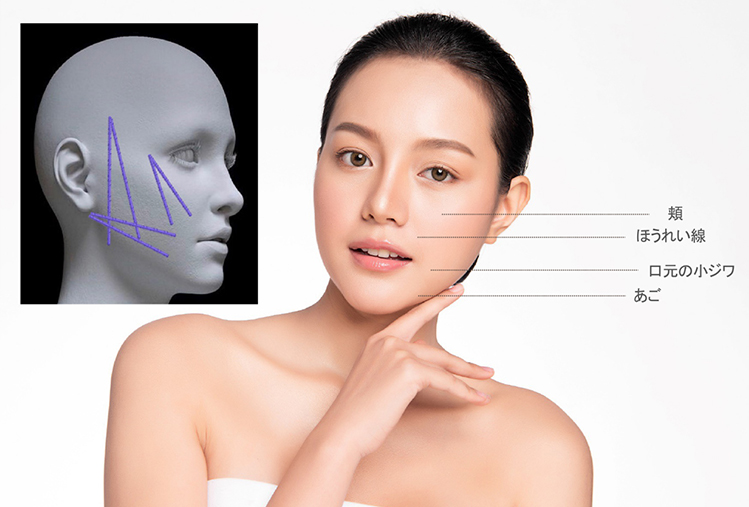 材質の違いで2種類